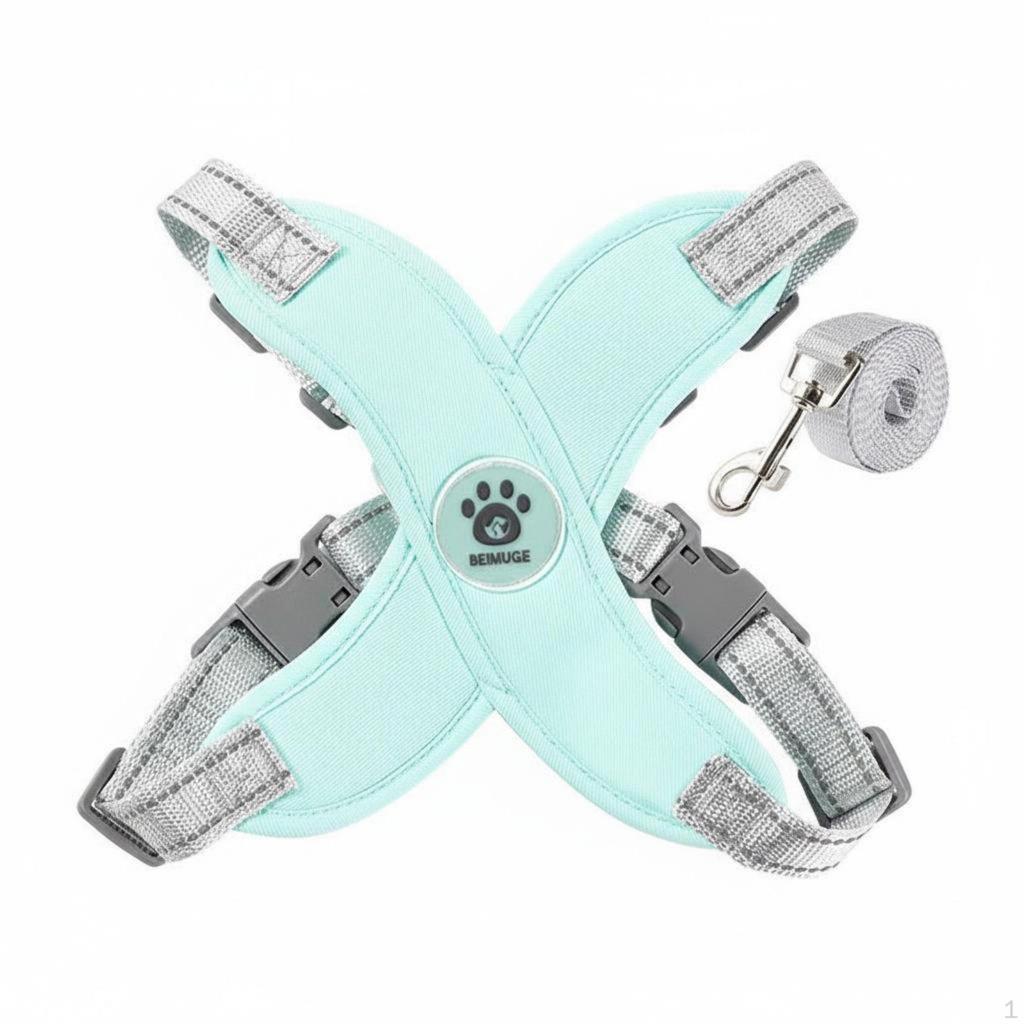 Dog Harness and Leash Set Sturdy Breathable Mesh Lightweight for Daily Use, Training,
