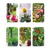 Planter Box with Trellis Plant Pot Tomato Planting for Flowers Climbing Plants