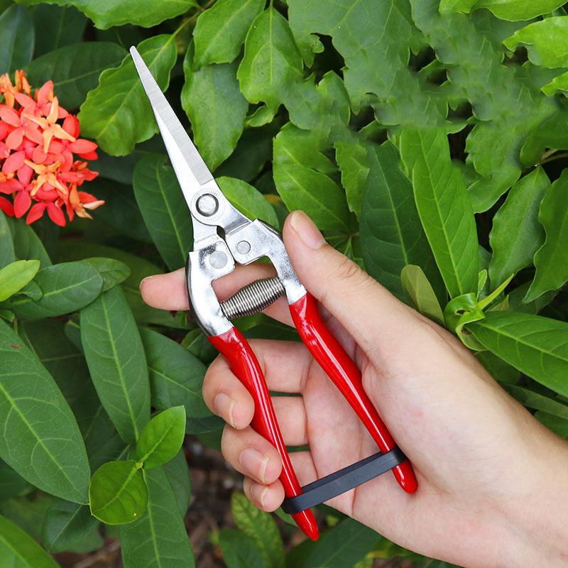 

21-Inch High Carbon Steel Pruning Shears – Straight Head, Sharp Blade, Dipped Plastic Handle | Ideal for Garden & Household Use красный