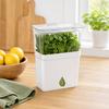 DYS Vegetable Crisper, Double-Layer Storage Extends Freshness Box, for Herbs And Vegetables Refrigerator Use