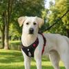 Comfortable Dog Chest Strap Multi-Point Adjustment Dog Leash Anti-Pull Dog Harness  Outdoor Use