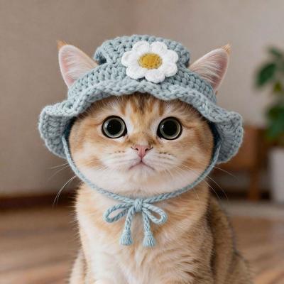 Novo Chapéu Engraçado para Gato Refinado Elástico Adereços para Sessão de Fotos Filhotes de Cachorro Gatinhos Chapéu de Tricô Feito à Mão Animais de Estimação Festa Cosplay Adereço de Cabeça Animal de Estimação