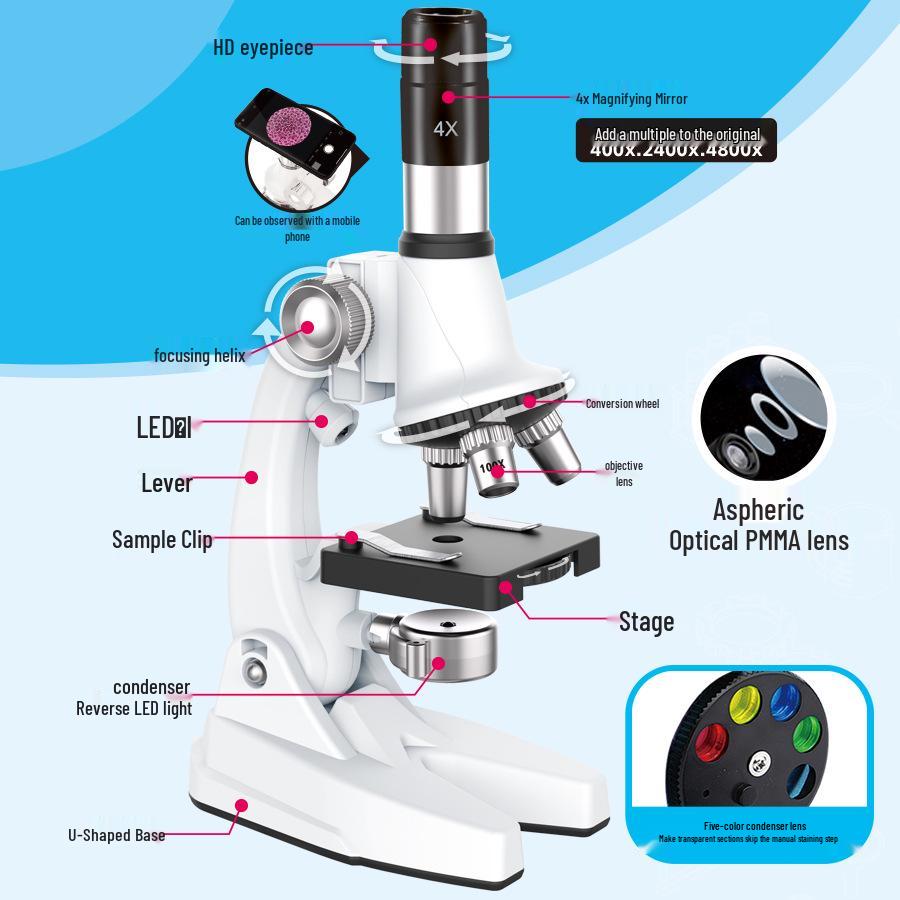 Calibrated 4800x Microscope Science Set for Elementary Students