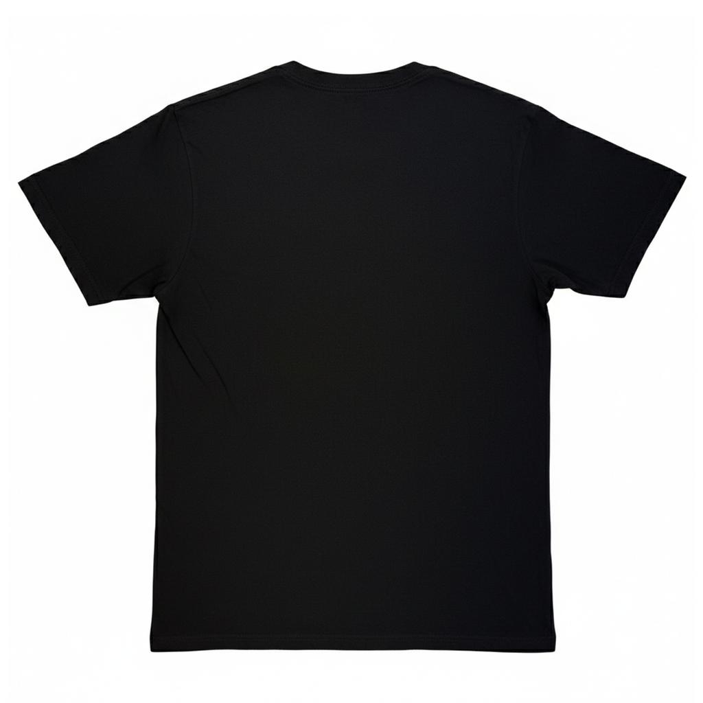 The Lord Of The Rings Unisex Adult Gandalf Homage T-Shirt