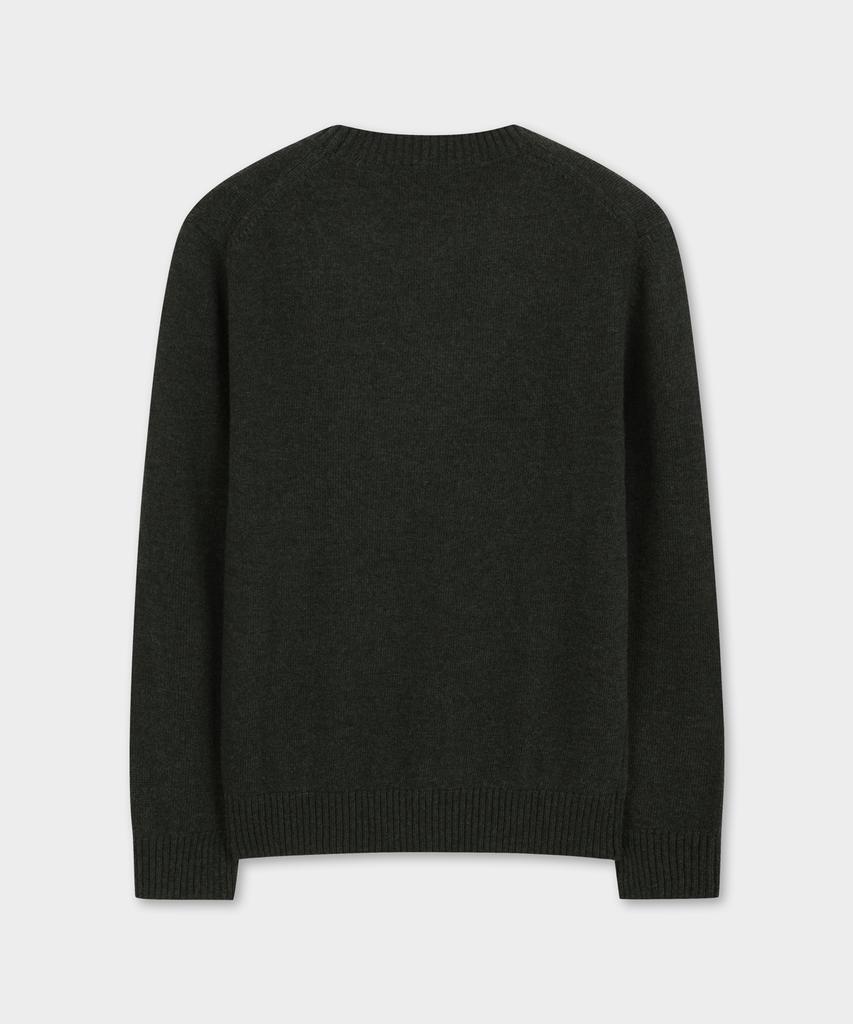 BROOKS BROTHERS Wool Solid Sweater (Dark Green) (Bbwrmog402)