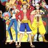 EVERSOUL ONE PIECE Short Straw Hat Character Anime Movie Size L T-Shirt, Sleeve, Pirates, Luffy, Chopper, Sanji, Zoro, Nami, Merchandise, Tee, Men's,