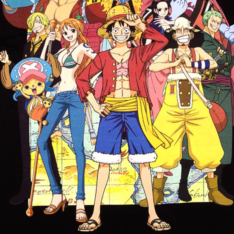 EVERSOUL ONE PIECE Short Straw Hat Character Anime Movie Size L T-Shirt, Sleeve, Pirates, Luffy, Chopper, Sanji, Zoro, Nami, Merchandise, Tee, Men's,