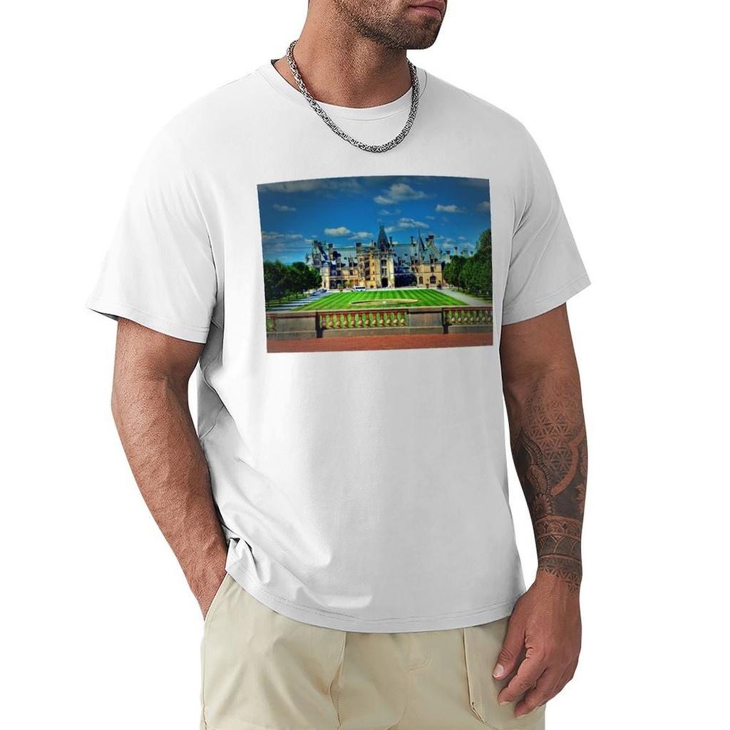 Biltmore TShirt plus size tops for a boy Mens clothing