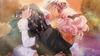 Wand of Fortune R2 FD Dedicated To PSVita ~Epilogue You~ -