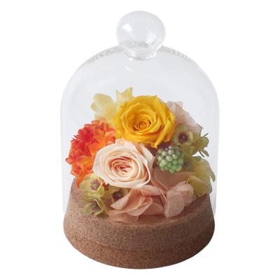 Preserved Flower Petit Dome, Handmade Materials, Dried Flowers, Gifts, Celebrations, Anniversaries, Birthdays, Flower Arrangements, Flower Gifts, Neve