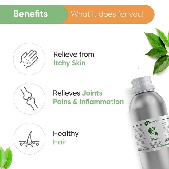 Naturalis Kampferöl - Reines und Natürliches Dampfdestilliertes Kampfer ätherisches Öl für Haut, Haare und Aromatherapie - Kampfer Mückenschutzmittel - 500ml