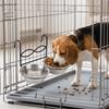 Food-Grade Alloy Hanging Pet Bowl Dual Compartment Smooth Polished Dual Pet Feeding Bowl Anti-Spill Structure Rustproof Texture