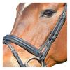 Collegiate Comfitec Leather Horse Bridle