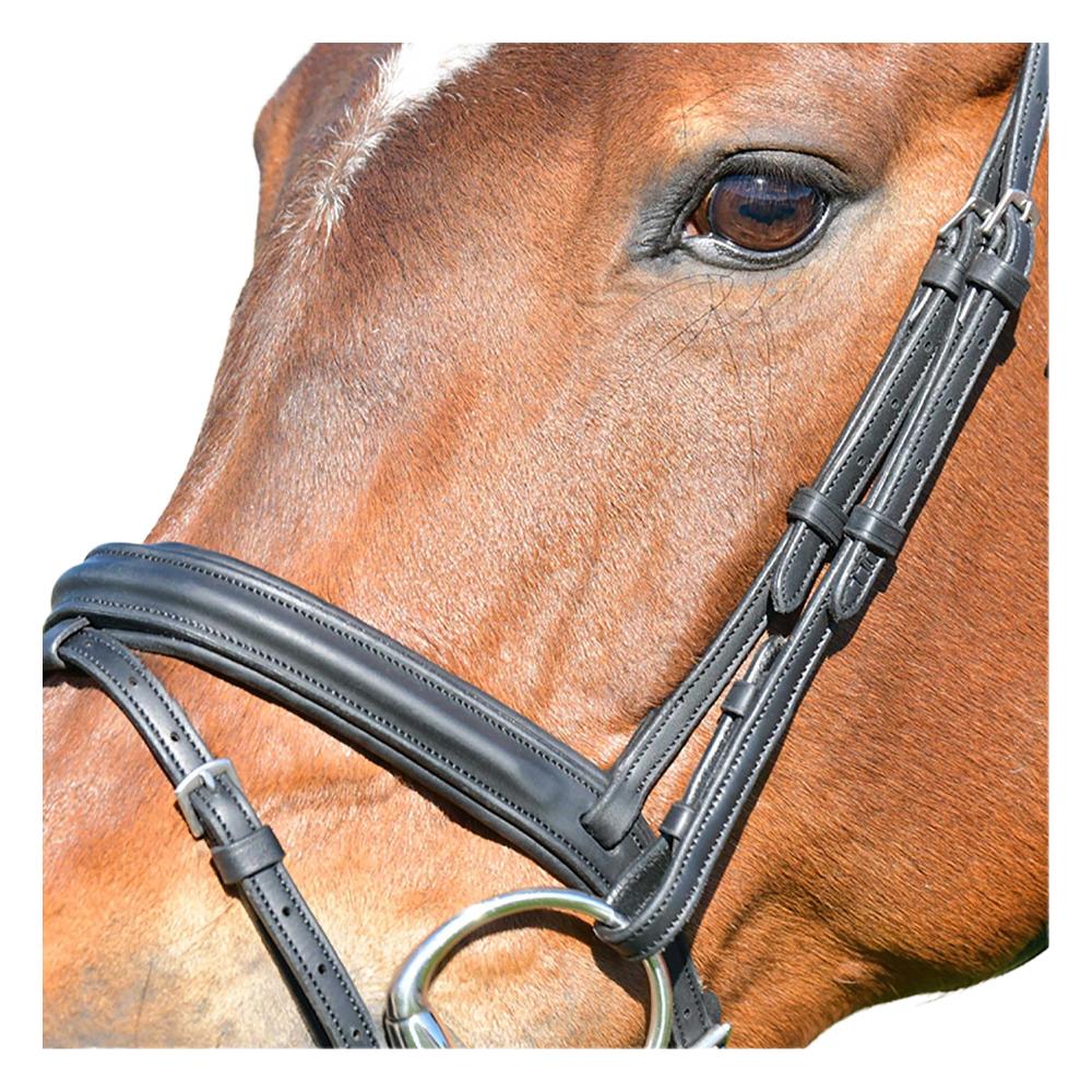 Collegiate Comfitec Leather Horse Bridle