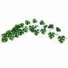 Plastic Vines Simulated Rattan Leaves Decorative Leaves Green Leaves Turtle Back Leaves Artificial Plants Gift Pipe Decoration