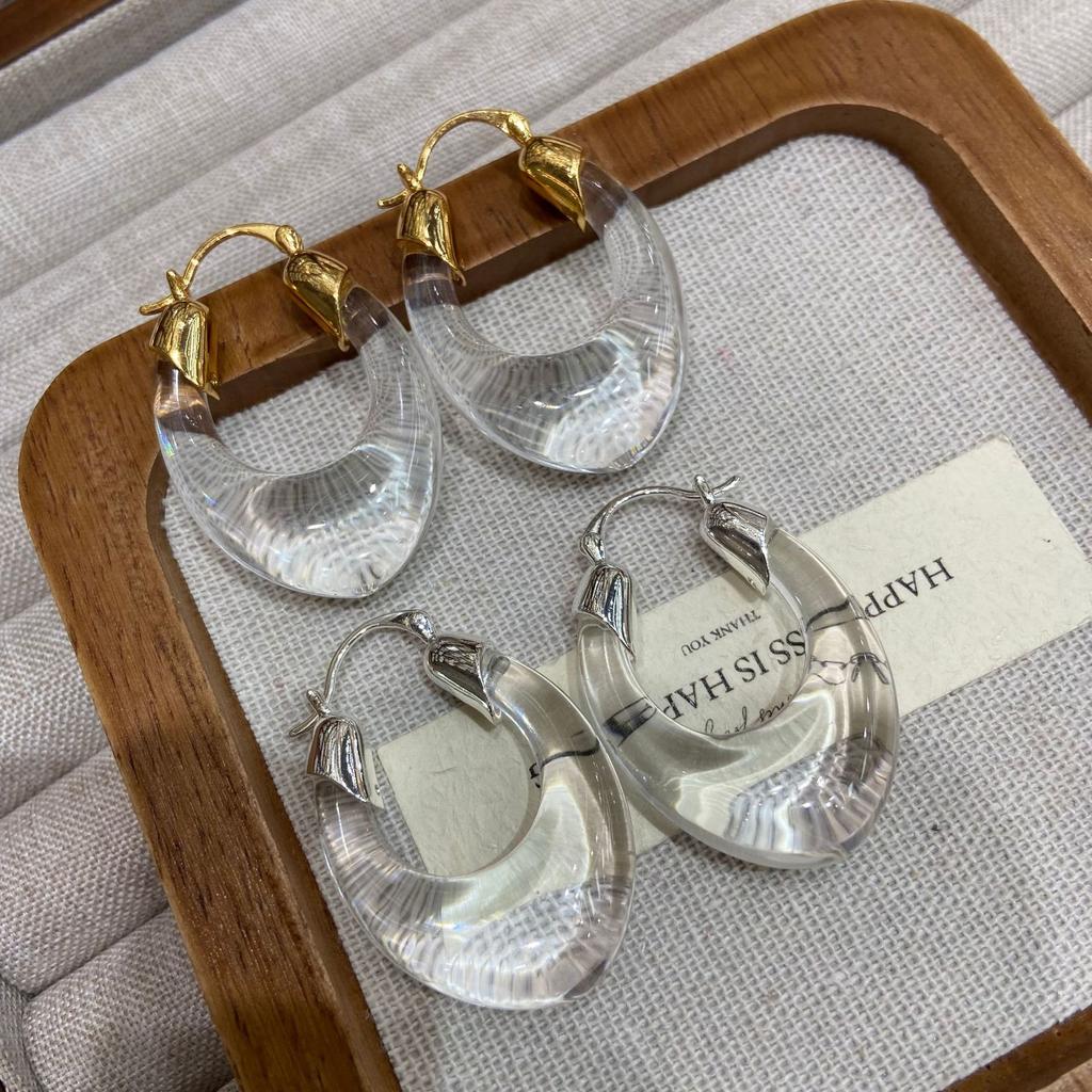 Light Luxury Transparent Metal Earrings Women'S Niche Design High-End Fashion Retro Tortoiseshell Earrings