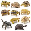 Turtle Cognitive Toys Adorable Delicate Plastic Galapagos Tortoise Decoration Model for Kids