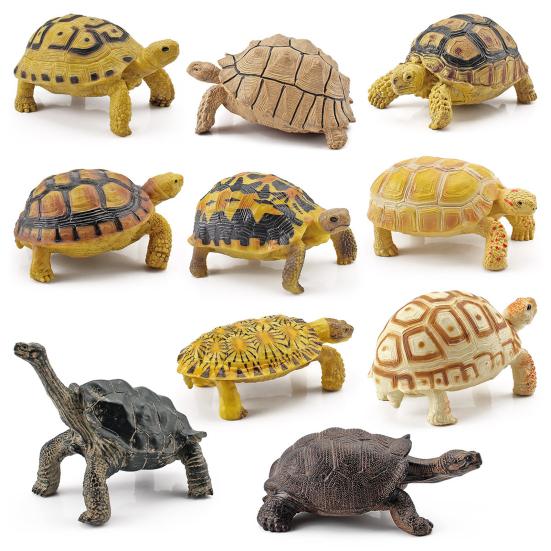 Turtle Cognitive Toys Adorable Delicate Plastic Galapagos Tortoise Decoration Model for Kids