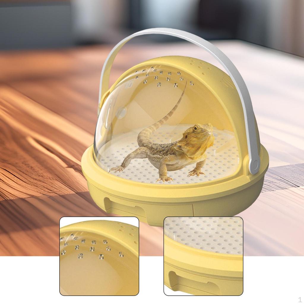 Feeding Box for Reptiles, Terrarium, Gift Idea, Versatile, Easy to Clean, Display