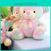 Rainbow Bear Plush Toy With Soft Cotton Material For Kids And Birthday Gift