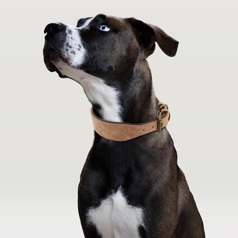 Breites Lederhalsband für Hunde Gepolsterte Haustierhalsbänder Hundehalsband für Mittelgroße Große Hunde Pitbull Bulldogge Deutscher Schäferhund 2XL