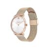 Coach Elliot Damenuhr | Moderne Eleganz mit ikonischem Teerosen-Detail | Ideales Geschenk für sie - Wasserresistent - 36 mm 14504209