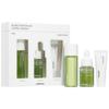 Celimax The Real Noni Starter Kit - a set of mini facial care products