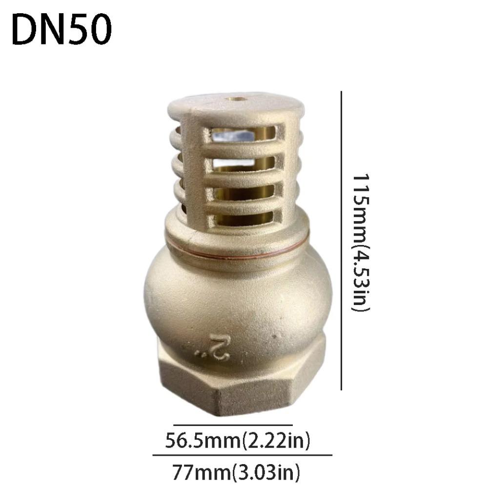 Strong Metal Brass Foot Valve Female Thread Check Valve Strainer Filter Complete Specifications