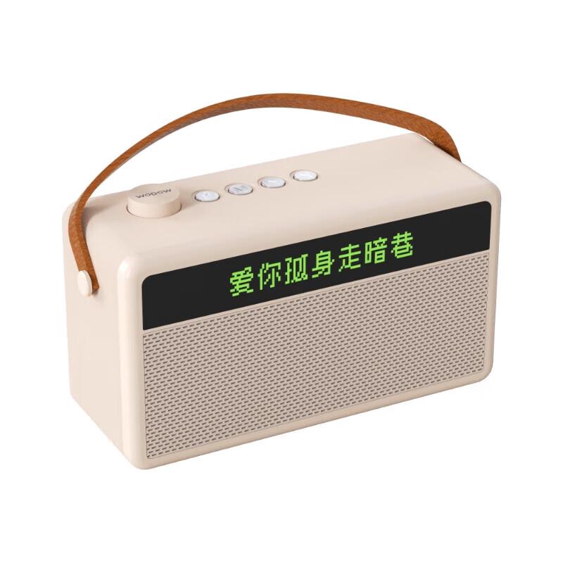 WOPOW Portable KTV Speaker with Dual Wireless Microphones CN plug (adapter included)