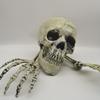 3pcs Halloween Decor Skeleton Stakes with Two Crows Realistic Skull Skeleton Head Human Hand Arms for Halloween Party Decoration