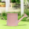 Vintage Iron Watering Can Planter Convenient Metal Container Perfect As a Flower Pots or Office Decoration