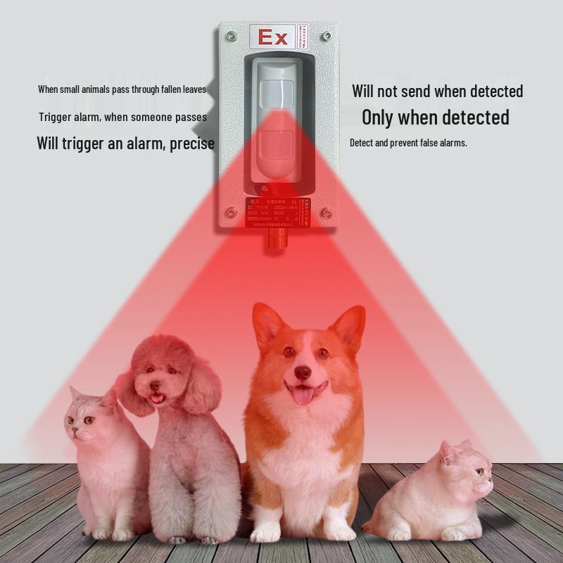 Explosion-Proof Tri-Axial Infrared Detector for Pipeline and Oil Depot Intrusion Alarm System