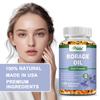 Pslalae High-Absorption Borage Oil Capsules, 1000 mg, 100% Vegan, Suitable for Skin Health and Hair, Easily Absorbed