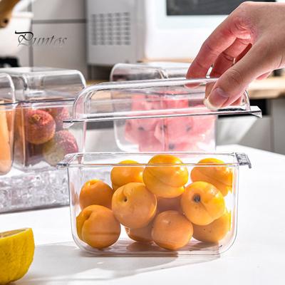 Transparent Storage Box Fridge Organizer with Handle Large Capacity 4 Compartments BPA-Free Fruits Vegetables Storage Case