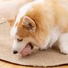 Pet Toy Latex Pig Chicken Shape Dog Teething Toy with Built-in Sound Device Relieves Boredom Separation Anxiety Chew Toy
