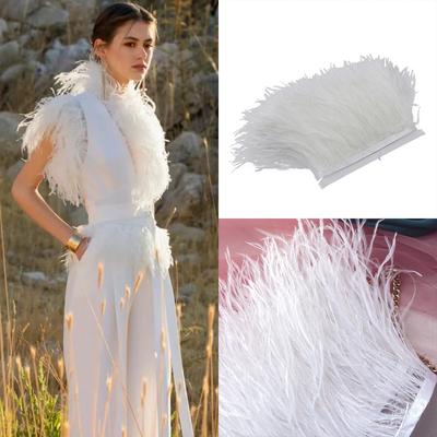1Meter Multicolor Ostrich Feather Trim 8-10cm White Ostrich Plumes Ribbon for Wedding Clothing Decoration Sewing Feathers Crafts
