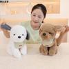 Cute Sitting Puppy Dog Doll Plush Toy Teddy Dog Doll Children'S Company Soothing Puppet