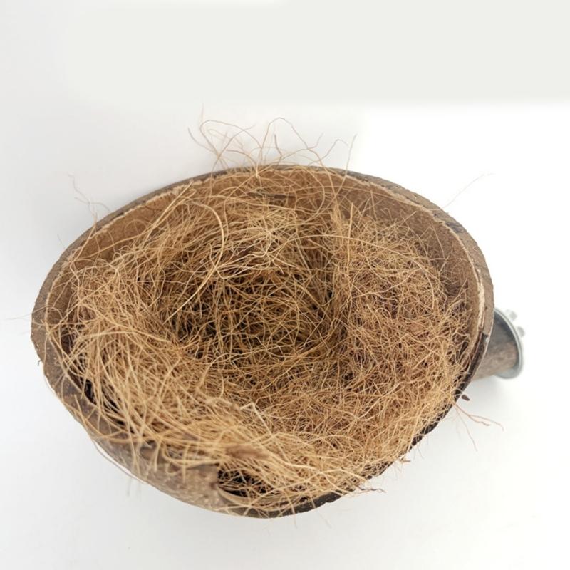 Posatoio Multifunzione Nido Guscio di Cocco Luogo di Riposo per Pappagalli Cocorite Pulizia Semplice Accessori Gabbia per Uccelli