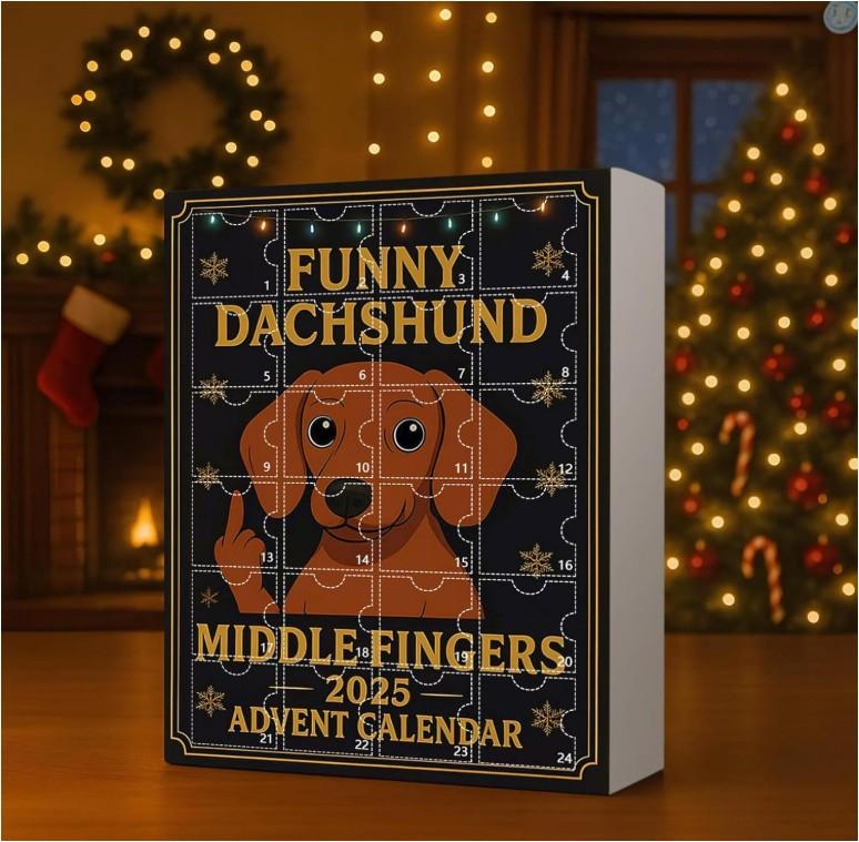 2D Flat Acrylic Mystery Box 24pcs Pendant With Airplane Box Funny Christmas Countdown Calendar