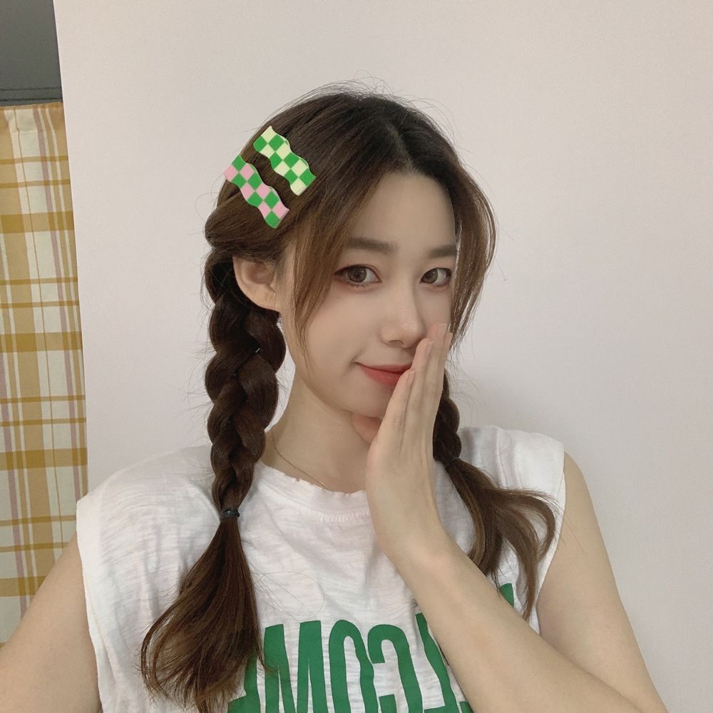 

Sweet Geometric Acrylic Grid Wave Hairpins Small Hair Claw Female Hair Clip Plaid Clamp Clip Flower