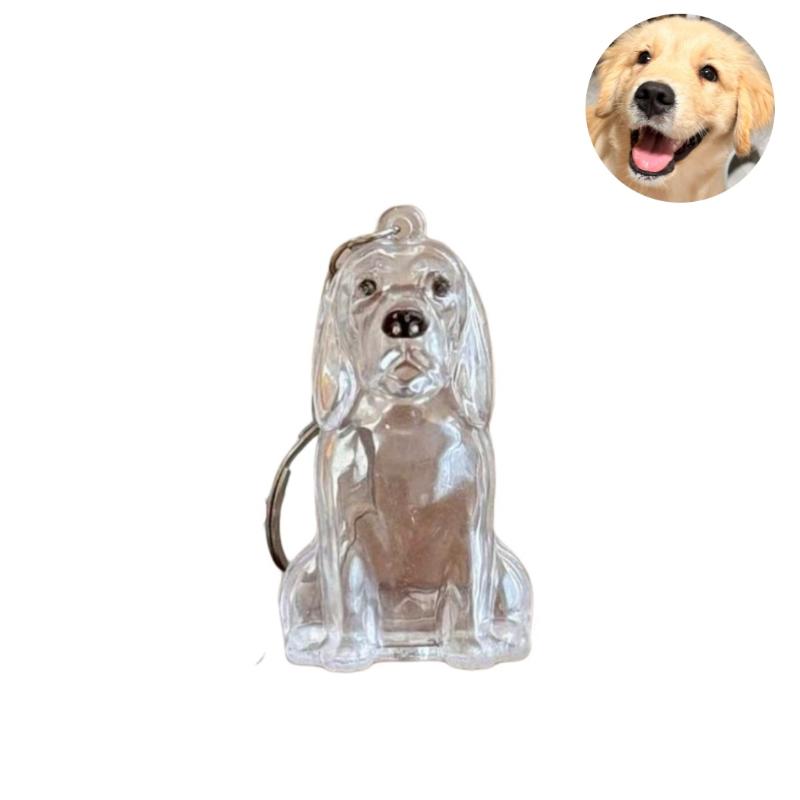 

Милый брелок для хранения шерсти собаки, прозрачная капсула для хранения шерсти питомца, подвеска-мешочек для сувенирной коллекции, подарок, мемориальное украшение A3