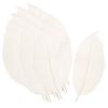 100x Natural Magnolia Skeleton Leaf Leaves Card Scrapbooking DIY Crafts White