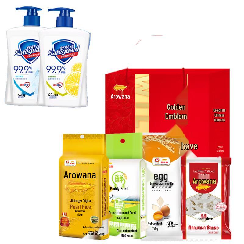 Safeguard Antibacterial Hand Wash Set