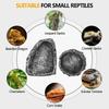Simulated Stone Reptile Feeding Bowls Resin Durable Reptile Feeder Lizard Supplies Easy Clean Water Dispenser for Pet Terrarium