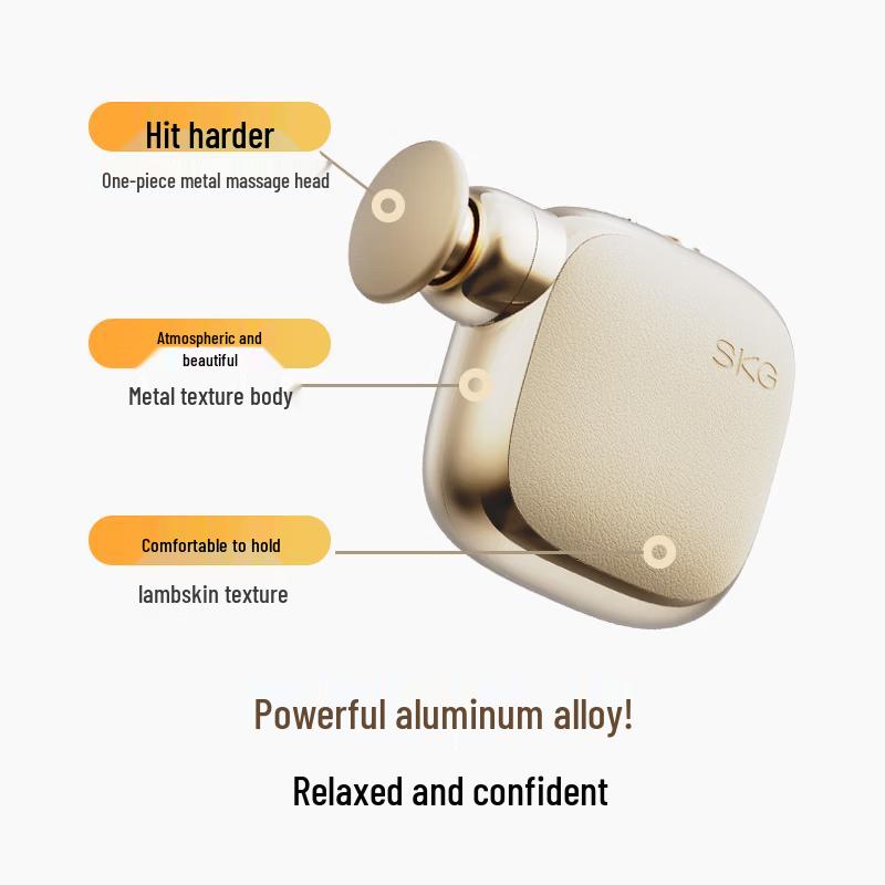 SKG F3 Mini Portable Muscle Massager CN plug (adapter included)