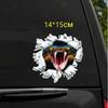 Acessórios de exterior – Adesivos para carros