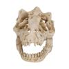 Resin Dinosaur Skull Simulation Escape House Creative Fish House Cave  Landscaping