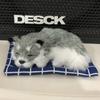 Dog Plush Sleep Toy Model Ornament Make Sound Lifelike Simulation Doll Gift