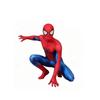 Spider-Man Brand New Day Kids Adult One-Piece Tights Halloween Cosplay Costume