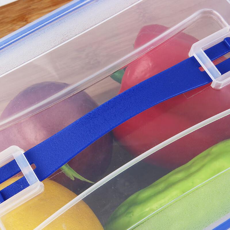 RuHan Transparent Portable Food Storage Box